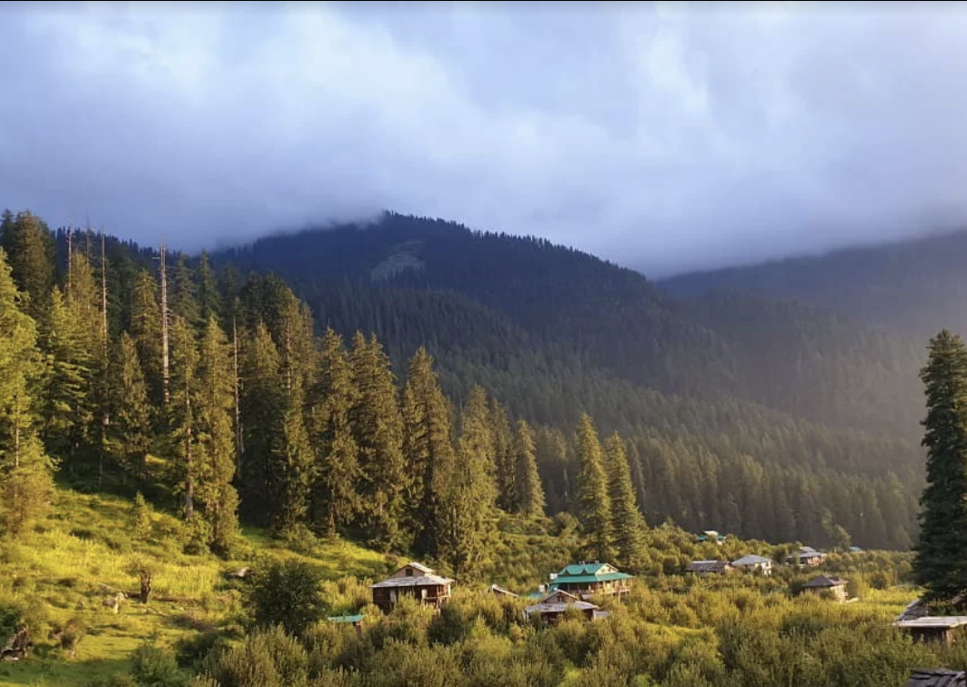 Morning light over the pine-covered valley in Kalga
