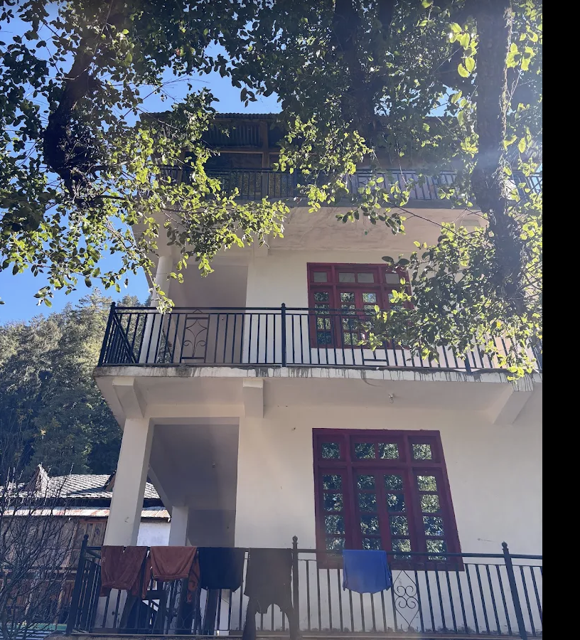 Tabiba’s sunlit hostel exterior framed by trees